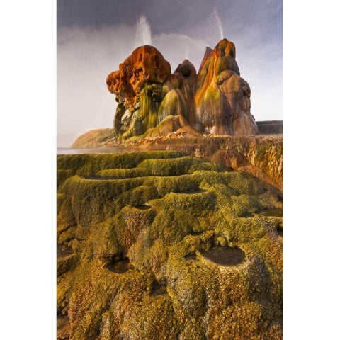 Nevada, Black Rock Desert View of the Fly Geyser Black Modern Wood Framed Art Print by Illg, Cathy and Gordon