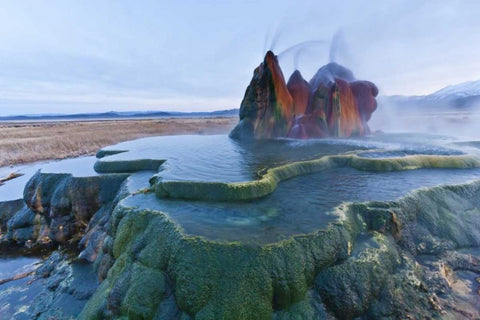Nevada, Black Rock Desert View of the Fly Geyser Black Ornate Wood Framed Art Print with Double Matting by Illg, Cathy and Gordon