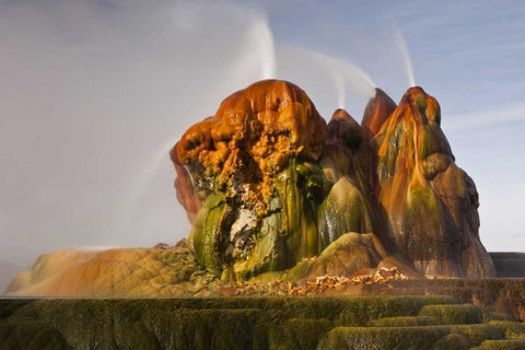 Nevada, Black Rock Desert View of the Fly Geyser Black Ornate Wood Framed Art Print with Double Matting by Illg, Cathy and Gordon
