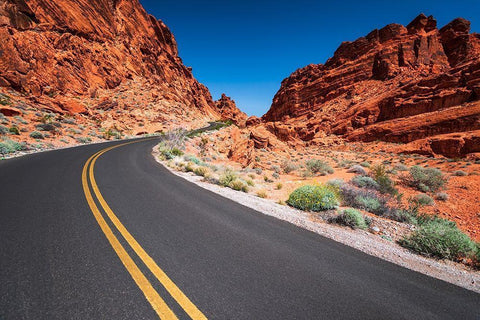 Park scenic byway-Valley of Fire State Park-Nevada-USA Black Ornate Wood Framed Art Print with Double Matting by Bishop, Russ