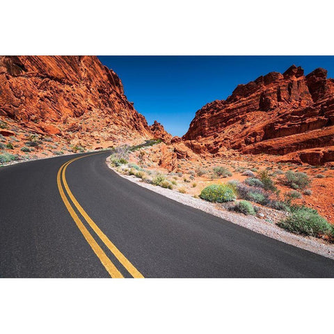 Park scenic byway-Valley of Fire State Park-Nevada-USA Gold Ornate Wood Framed Art Print with Double Matting by Bishop, Russ
