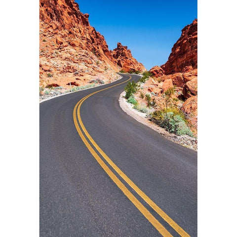 Park scenic byway-Valley of Fire State Park-Nevada-USA Gold Ornate Wood Framed Art Print with Double Matting by Bishop, Russ