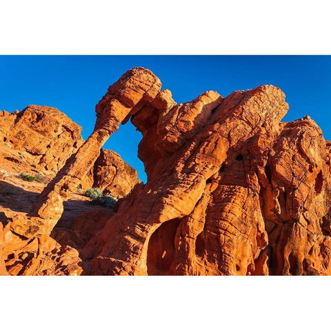 Morning light on Elephant Rock-Valley of Fire State Park-Nevada-USA Black Modern Wood Framed Art Print by Bishop, Russ