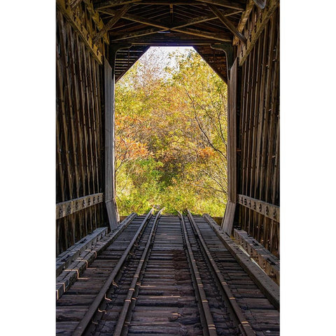 USA-New Hampshire-fall foliage White Modern Wood Framed Art Print by Jones, Allison