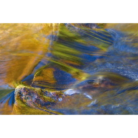 NH, White Mountain NF, Fall reflections in stream White Modern Wood Framed Art Print by Rotenberg, Nancy