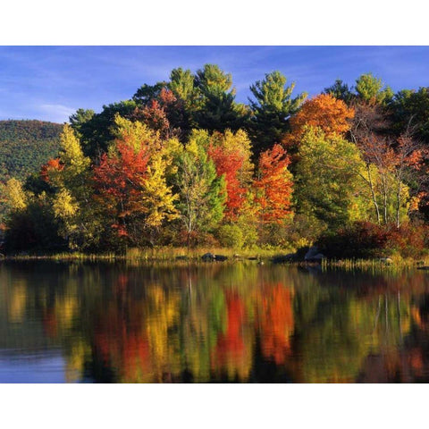 NH Trees in autumn reflecting in Lake Kanasatka Black Modern Wood Framed Art Print with Double Matting by Terrill, Steve