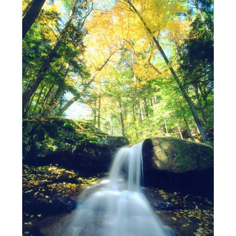 New Hampshire, A waterfall in the White Mountains Black Modern Wood Framed Art Print by Talbot Frank, Christopher