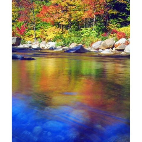 NH, Autumn colors reflecting in the Swift River Gold Ornate Wood Framed Art Print with Double Matting by Talbot Frank, Christopher