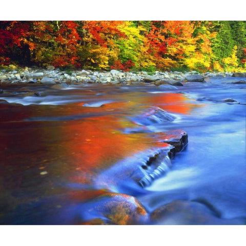 NH, White Mts, Swift River reflecting Autumn Black Modern Wood Framed Art Print with Double Matting by Talbot Frank, Christopher