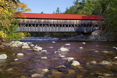 NH, White Mts Albany Covered Bridge White Modern Wood Framed Art Print with Double Matting by Flaherty, Dennis