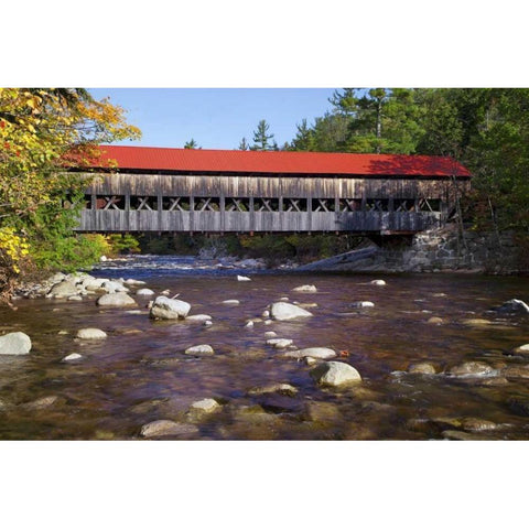 NH, White Mts Albany Covered Bridge Gold Ornate Wood Framed Art Print with Double Matting by Flaherty, Dennis