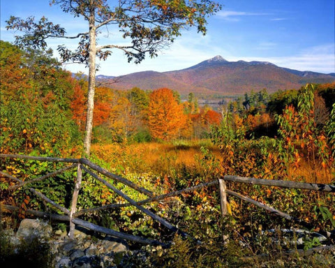 NH, Chocorua Autumn landscape of Mount Chocorua Black Ornate Wood Framed Art Print with Double Matting by Terrill, Steve