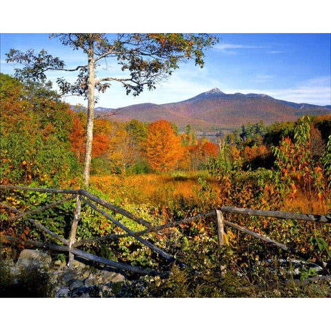 NH, Chocorua Autumn landscape of Mount Chocorua Black Modern Wood Framed Art Print by Terrill, Steve