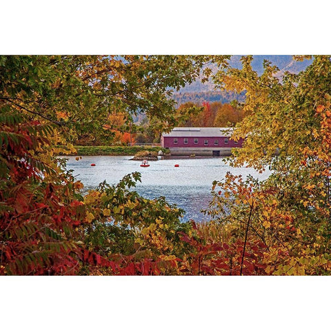 USA-New Hampshire-Gorham-Fall colored trees framing Androscoggin River near damn site Black Modern Wood Framed Art Print by Gulin, Sylvia