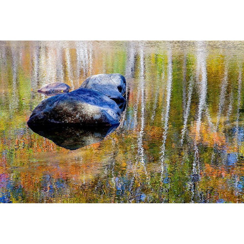 USA-New Hampshire-Gorham Autumn colors reflected in small pond Black Modern Wood Framed Art Print with Double Matting by Gulin, Sylvia