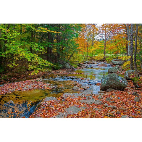 USA-New Hampshire-New England-Jackson small stream surrounded in Fall color Black Modern Wood Framed Art Print by Gulin, Sylvia