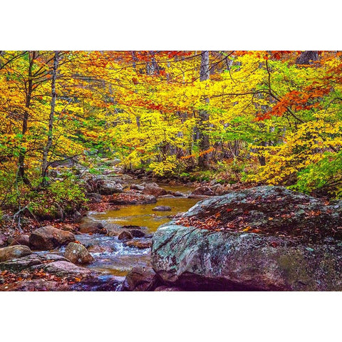 USA-New Hampshire-New England-Jackson small stream surrounded in Fall color White Modern Wood Framed Art Print by Gulin, Sylvia