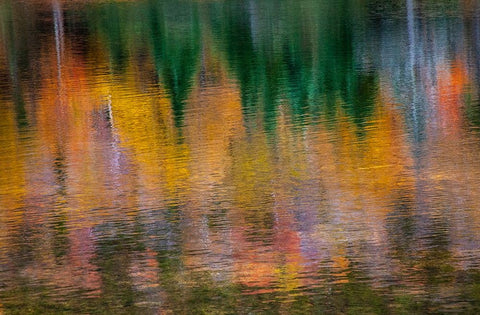 USA-New Hampshire-New England Fall colors reflected in the waters of the Saco River Crawford Notch  White Modern Wood Framed Art Print with Double Matting by Gulin, Sylvia