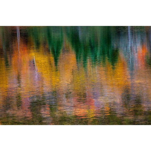 USA-New Hampshire-New England Fall colors reflected in the waters of the Saco River Crawford Notch  Black Modern Wood Framed Art Print by Gulin, Sylvia