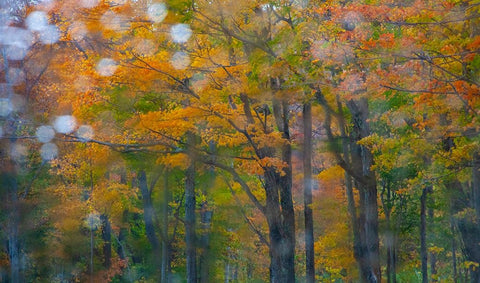 USA-New Hampshire-Sugar Hill looking through windshield on rainy day with Hardwood trees in Autumn  White Modern Wood Framed Art Print with Double Matting by Gulin, Sylvia