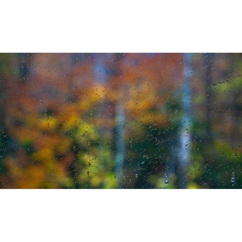 USA-New Hampshire-Sugar Hill looking through windshield on rainy day with Hardwood trees in Autumn  Gold Ornate Wood Framed Art Print with Double Matting by Gulin, Sylvia