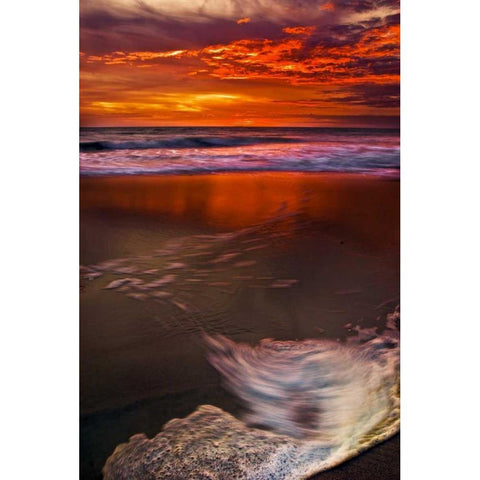 New Jersey, Cape May Sunset reflection on beach Black Modern Wood Framed Art Print by OBrien, Jay