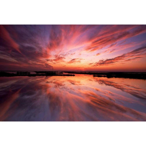 New Jersey, Cape May Sunset reflection on water Gold Ornate Wood Framed Art Print with Double Matting by OBrien, Jay