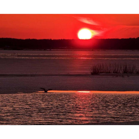 New Jersey, Cape May Sunset reflection on water White Modern Wood Framed Art Print by OBrien, Jay