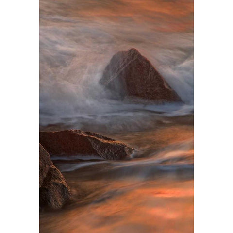NJ, Cape May Wave crashes on shoreline rocks Gold Ornate Wood Framed Art Print with Double Matting by OBrien, Jay