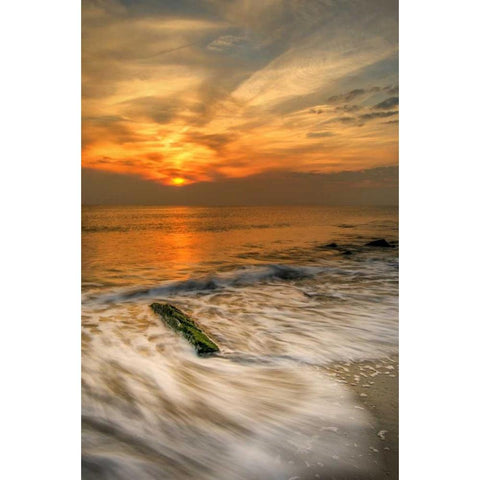 New Jersey, Cape May Scenic on Cape May Beach Black Modern Wood Framed Art Print with Double Matting by OBrien, Jay
