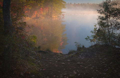 USA-New Jersey-Pine Barrens National Preserve Foggy forest and lake landscape White Modern Wood Framed Art Print with Double Matting by Jaynes Gallery