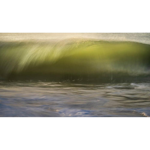 USA-New Jersey-Cape May National Seashore Black Modern Wood Framed Art Print by Jaynes Gallery