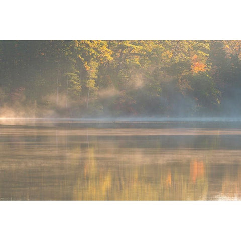 USA-New Jersey-Pine Barrens National Preserve Foggy forest and lake landscape White Modern Wood Framed Art Print by Jaynes Gallery