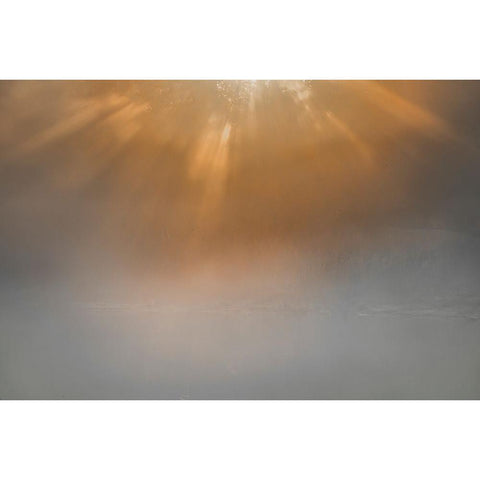 USA-New Jersey-Cape May National Seashore Sunrise beams on foggy ocean Black Modern Wood Framed Art Print by Jaynes Gallery