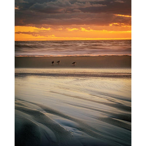 USA-New Jersey-Cape May National Seashore Cloudy sunset on seashore Gold Ornate Wood Framed Art Print with Double Matting by Jaynes Gallery