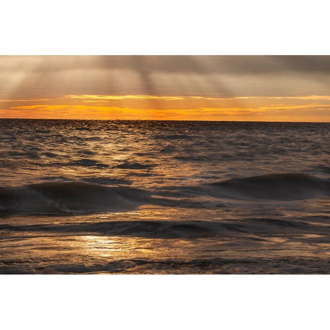 USA-New Jersey-Cape May National Seashore Sunset on ocean shore Black Modern Wood Framed Art Print by Jaynes Gallery