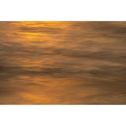 USA-New Jersey-Cape May National Seashore Ocean reflections at sunset Black Modern Wood Framed Art Print by Jaynes Gallery