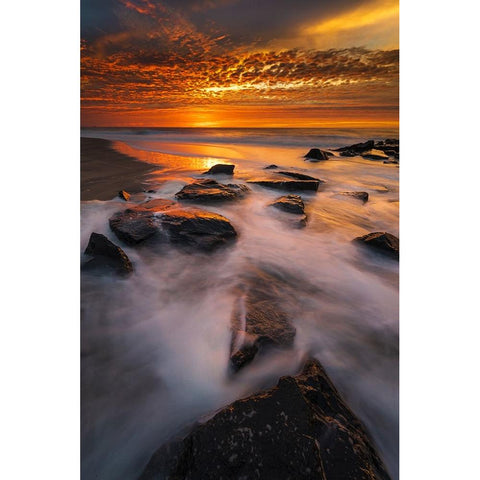 USA-New Jersey-Cape May National Seashore Sunrise on ocean shore Black Modern Wood Framed Art Print by Jaynes Gallery