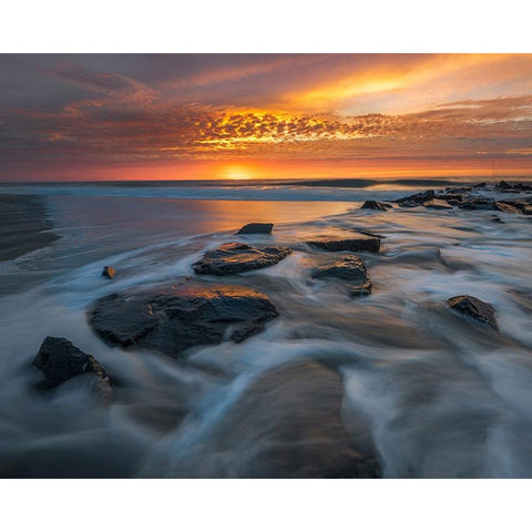 USA-New Jersey-Cape May National Seashore Sunrise on ocean shore Black Modern Wood Framed Art Print by Jaynes Gallery