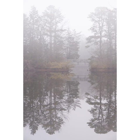 USA-New Jersey-Pine Barrens National Preserve Foggy forest landscape and bridge reflect in lake Gold Ornate Wood Framed Art Print with Double Matting by Jaynes Gallery