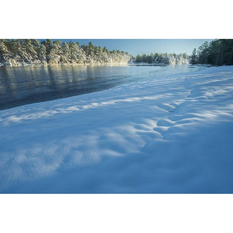 USA-New Jersey-Pine Barrens National Preserve Snow-covered forest and lake shore Black Modern Wood Framed Art Print by Jaynes Gallery