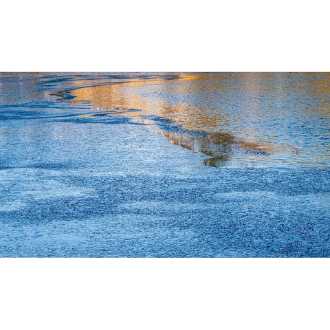 USA-New Jersey-Pine Barrens National Preserve Partially iced lake and forest reflections in water Black Modern Wood Framed Art Print with Double Matting by Jaynes Gallery