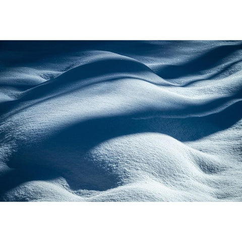 USA-New Jersey-Pine Barrens National Preserve Shadow patterns on fresh snow Black Modern Wood Framed Art Print by Jaynes Gallery