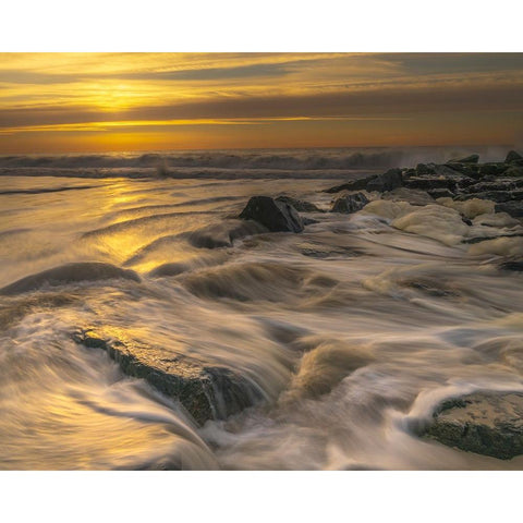 USA-New Jersey-Cape May National Seashore Sunrise on ocean shore White Modern Wood Framed Art Print by Jaynes Gallery