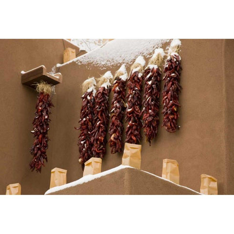 New Mexico, Santa Fe Chili pepper ristras Black Modern Wood Framed Art Print with Double Matting by Grall, Don