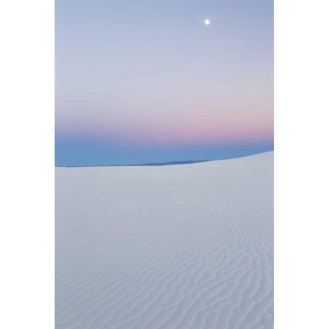 New Mexico, White Sands NM Moon over desert Black Modern Wood Framed Art Print by Illg, Cathy and Gordon