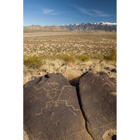 New Mexico, Three Rivers Petroglyph on rock Black Modern Wood Framed Art Print by Illg, Cathy and Gordon