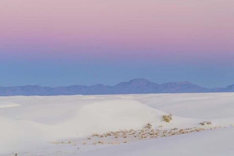 New Mexico, White Sands NM Desert at sunset Black Ornate Wood Framed Art Print with Double Matting by Illg, Cathy and Gordon