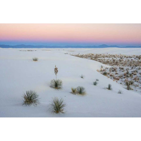 New Mexico, White Sands NM Sunset over desert Black Modern Wood Framed Art Print by Illg, Cathy and Gordon