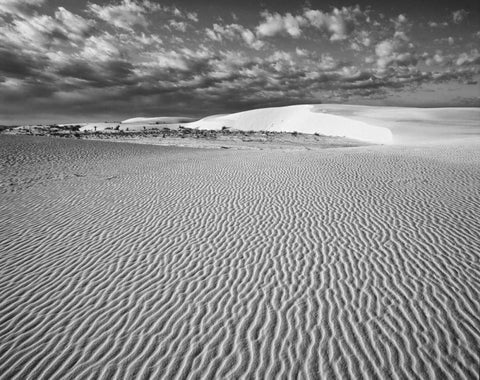 New Mexico, White Sands NM Desert landscape Black Ornate Wood Framed Art Print with Double Matting by Flaherty, Dennis